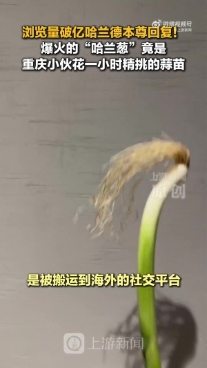 cos哈兰德的是蒜苗不是葱！重庆小伙才是原作者 视频被偷浏览破亿