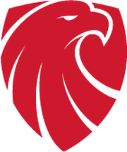 瑞秀首发阵容